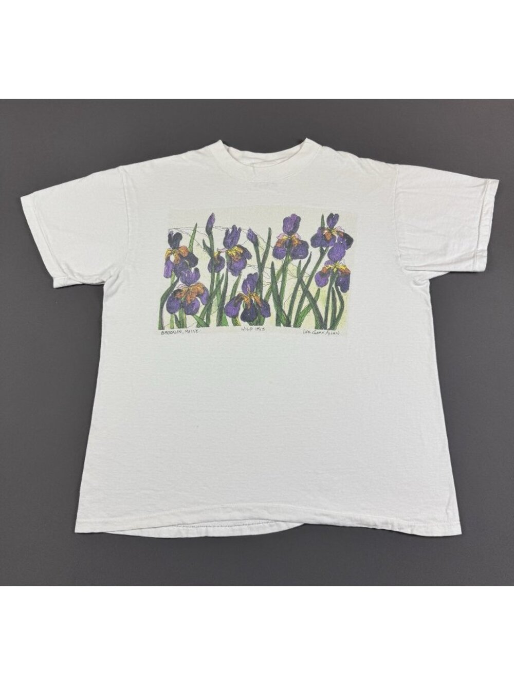 Rare Vintage 90s Art Tee Wild Iris Brooklyn Maine Lee Clark Allen Oneita Large